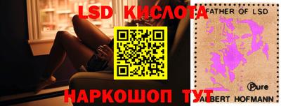 спиды Краснодар
