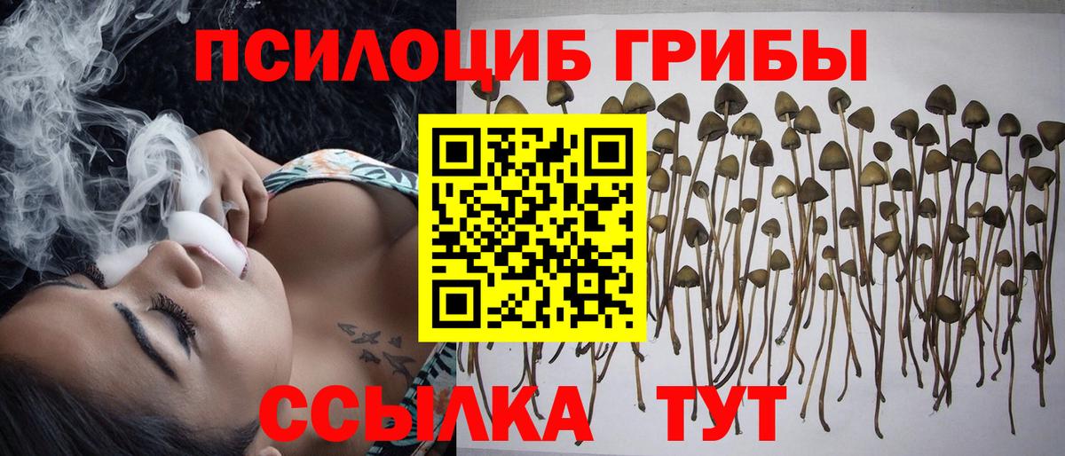 Галлюциногенные грибы GOLDEN TEACHER Казань